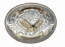 medium eagle.jpg (23462 bytes)