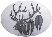 Elk head and tracks.jpg (10875 bytes)