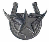 Horseshoe_Star.jpg (11965 bytes)