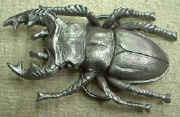 bug.jpg (36575 bytes)