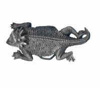 Horny_Toad.jpg (11170 bytes)