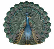 Peacock_1.jpg (21013 bytes)