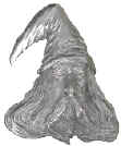 N145 Wizard Head Cutout.jpg (14227 bytes)