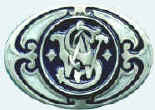 SW_Blue.jpg (36469 bytes)