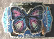 BUTTERFLY1.JPG (557010 bytes)
