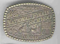 06nfr.jpg (32685 bytes)