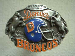 Bronco2.jpg (34299 bytes)