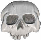 whiteskull.jpg (13054 bytes)