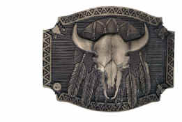 buffaloskull2.jpg (12271 bytes)