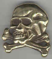 6139Skull-Crossbones.jpg (11889 bytes)