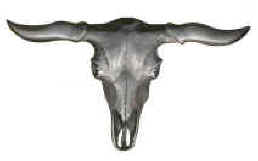 VN2-Longhorn-Steer.jpg (40533 bytes)