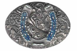 BBI1050T_Turquoise_Horseshoe.jpg (15321 bytes)