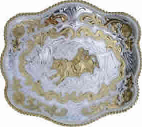 Bullrider_gs.jpg (25350 bytes)