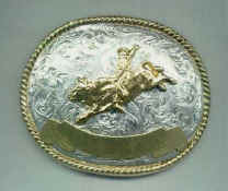 GS87 Bullrider2.jpg (21526 bytes)
