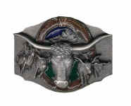 o80E Longhorn Steer.jpg (16049 bytes)