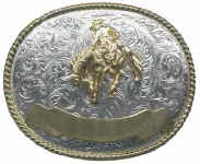 GS_W88_Bucking_horse.jpg (19806 bytes)