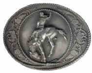 H5_bronc_rider.jpg (15035 bytes)