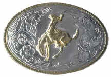 buckingbronc.jpg (15978 bytes)