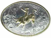 bullrider.jpg (21578 bytes)