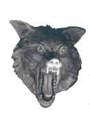 Wolf_Face_3D.jpg (12916 bytes)
