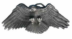Eagle-inyrface.jpg (13880 bytes)