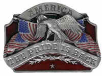 americapride.jpg (16712 bytes)