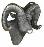 VN12_Bighorn_Head_cutout.jpg (11706 bytes)