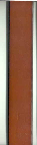 Tan Plain Leather Belt